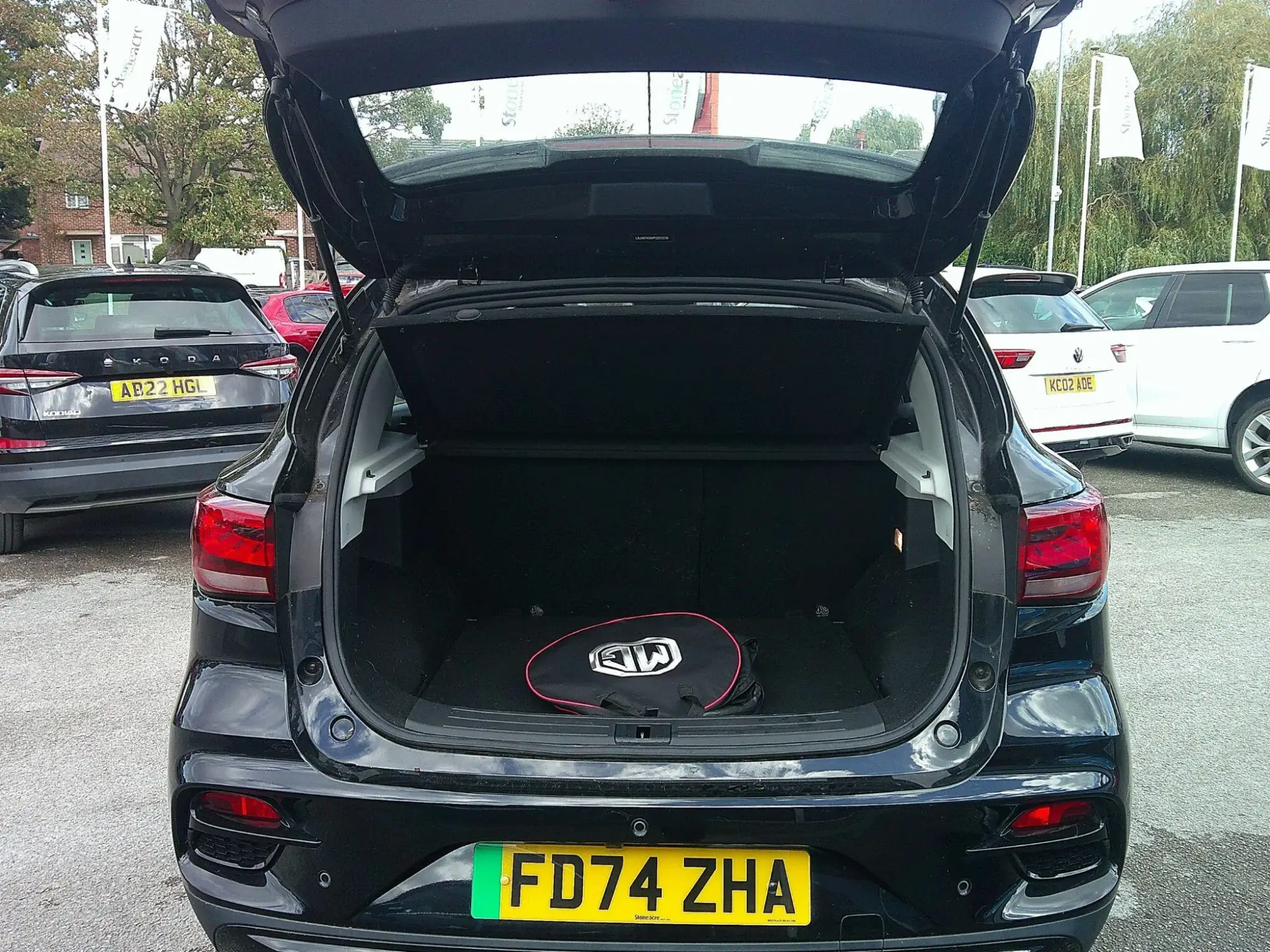 MG ZS EV Image 10