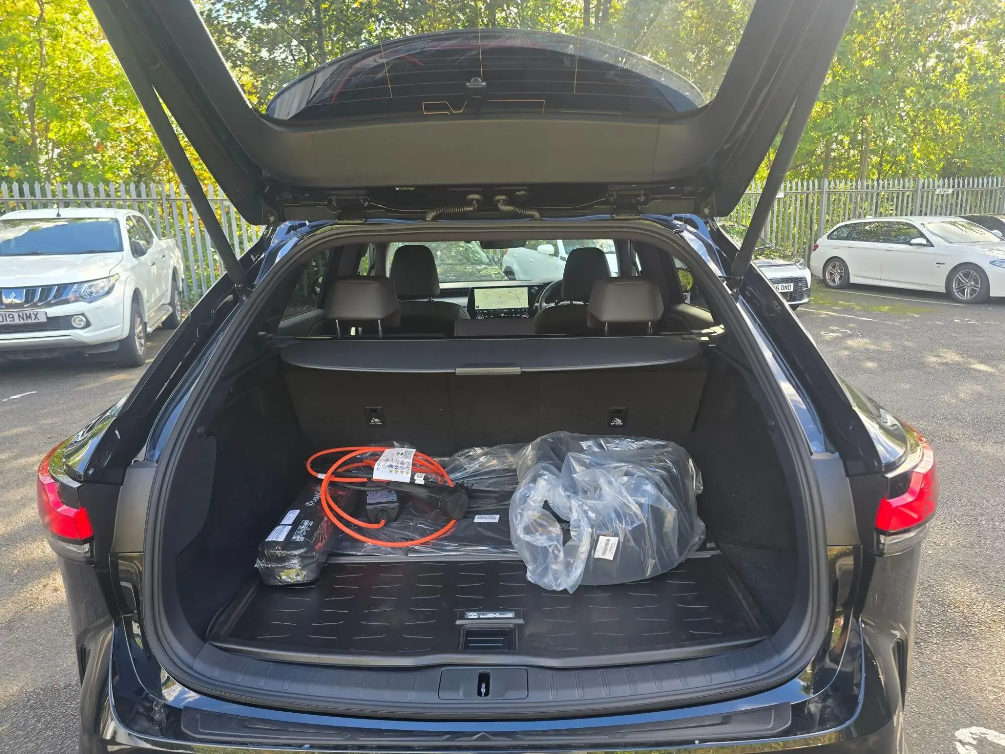 Lexus RX Image 10