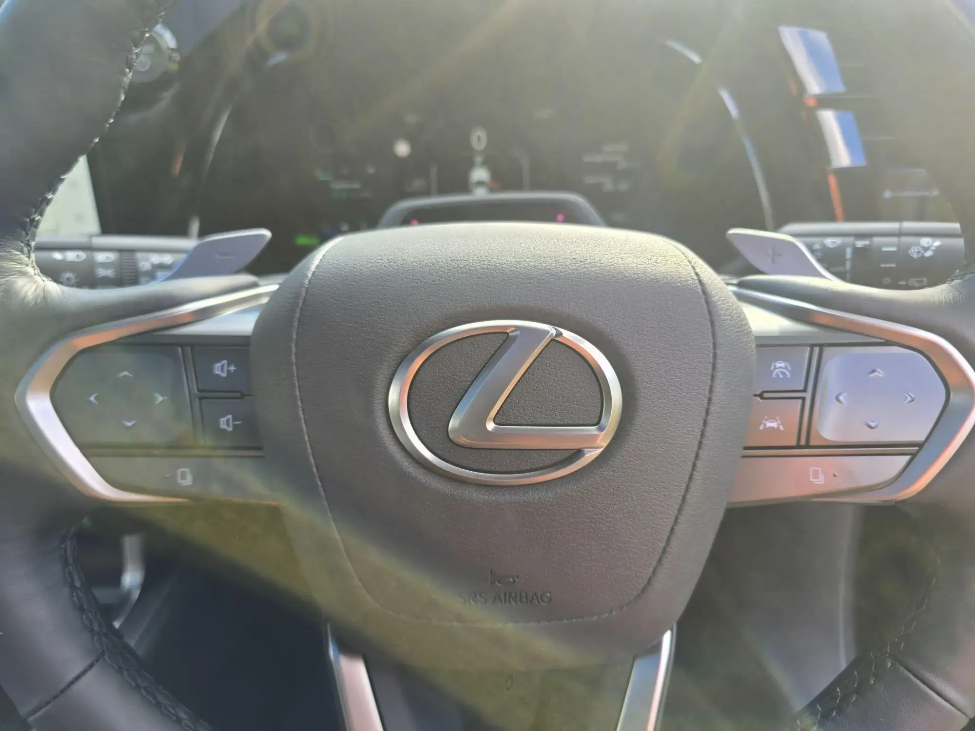 Lexus RX Image 26