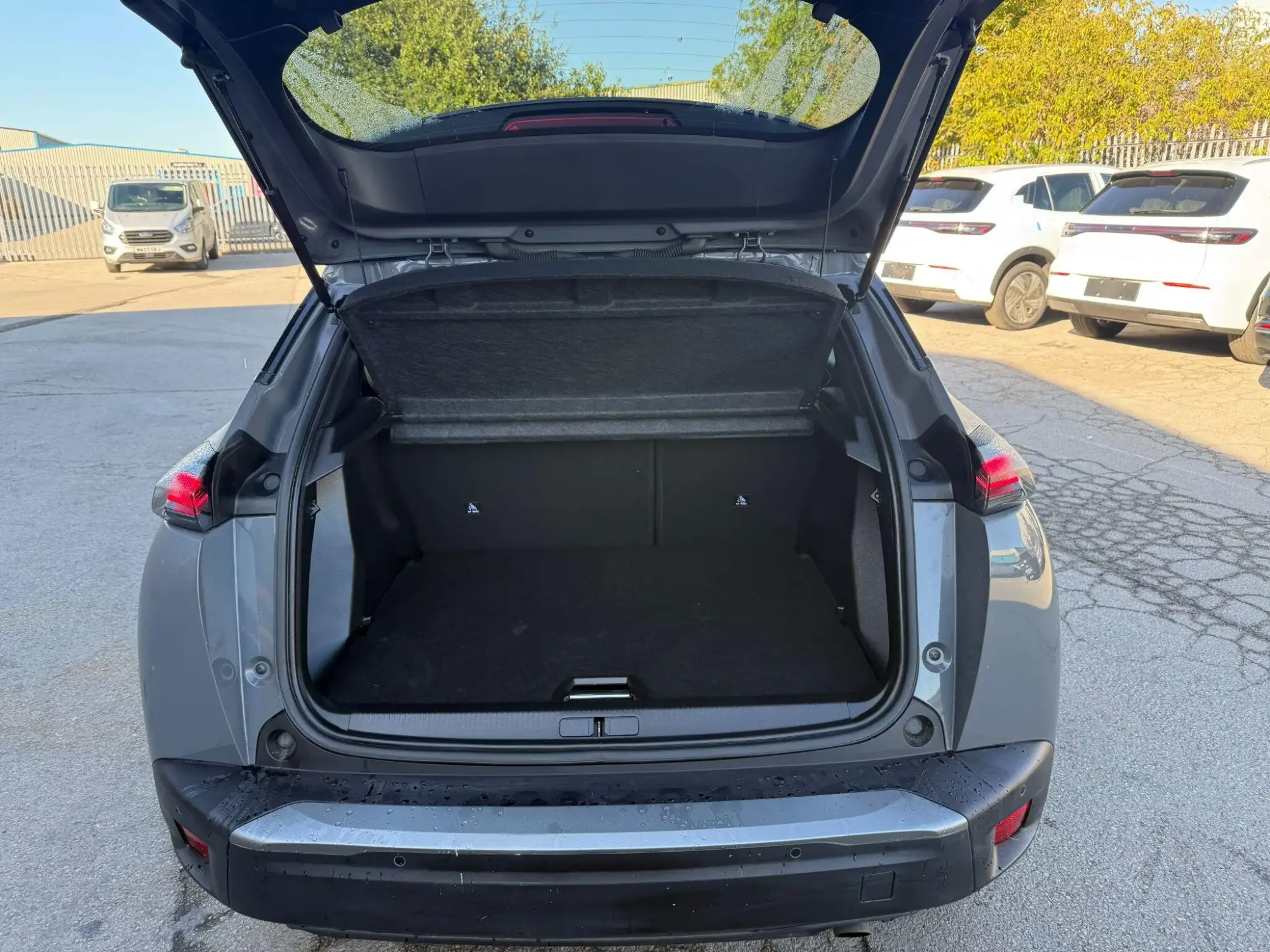 Peugeot 2008 Image 12