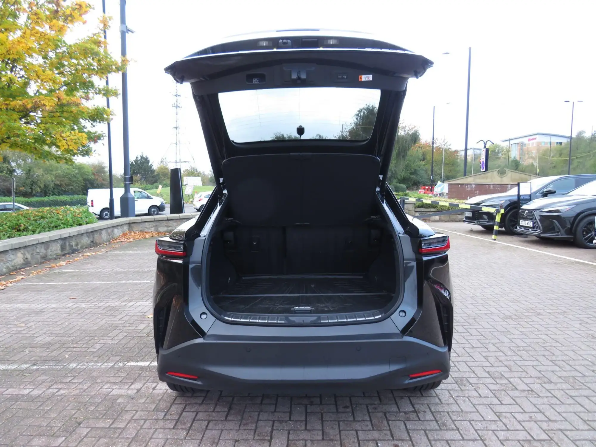 Lexus RZ Image 10