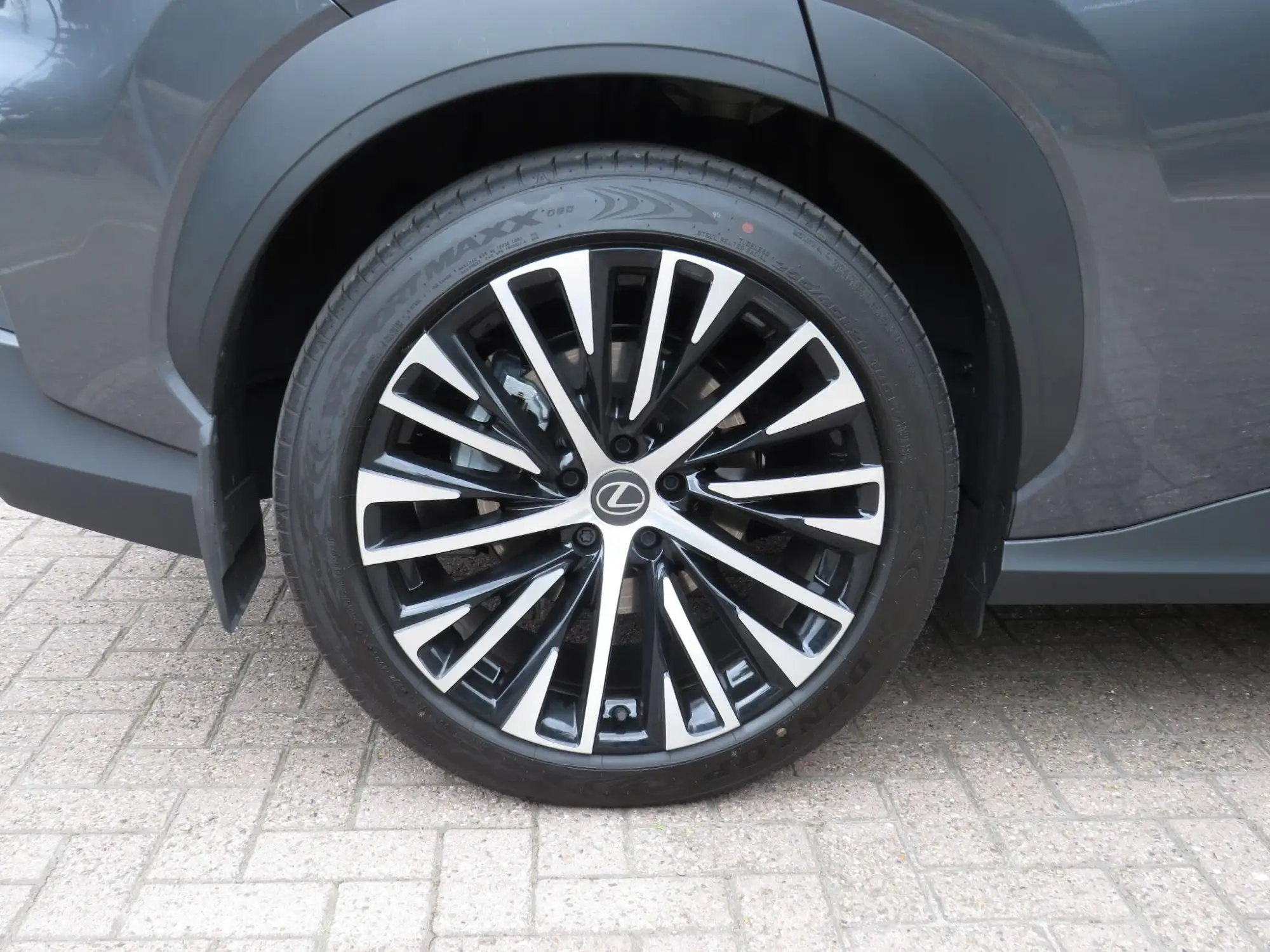 Lexus RZ Image 9