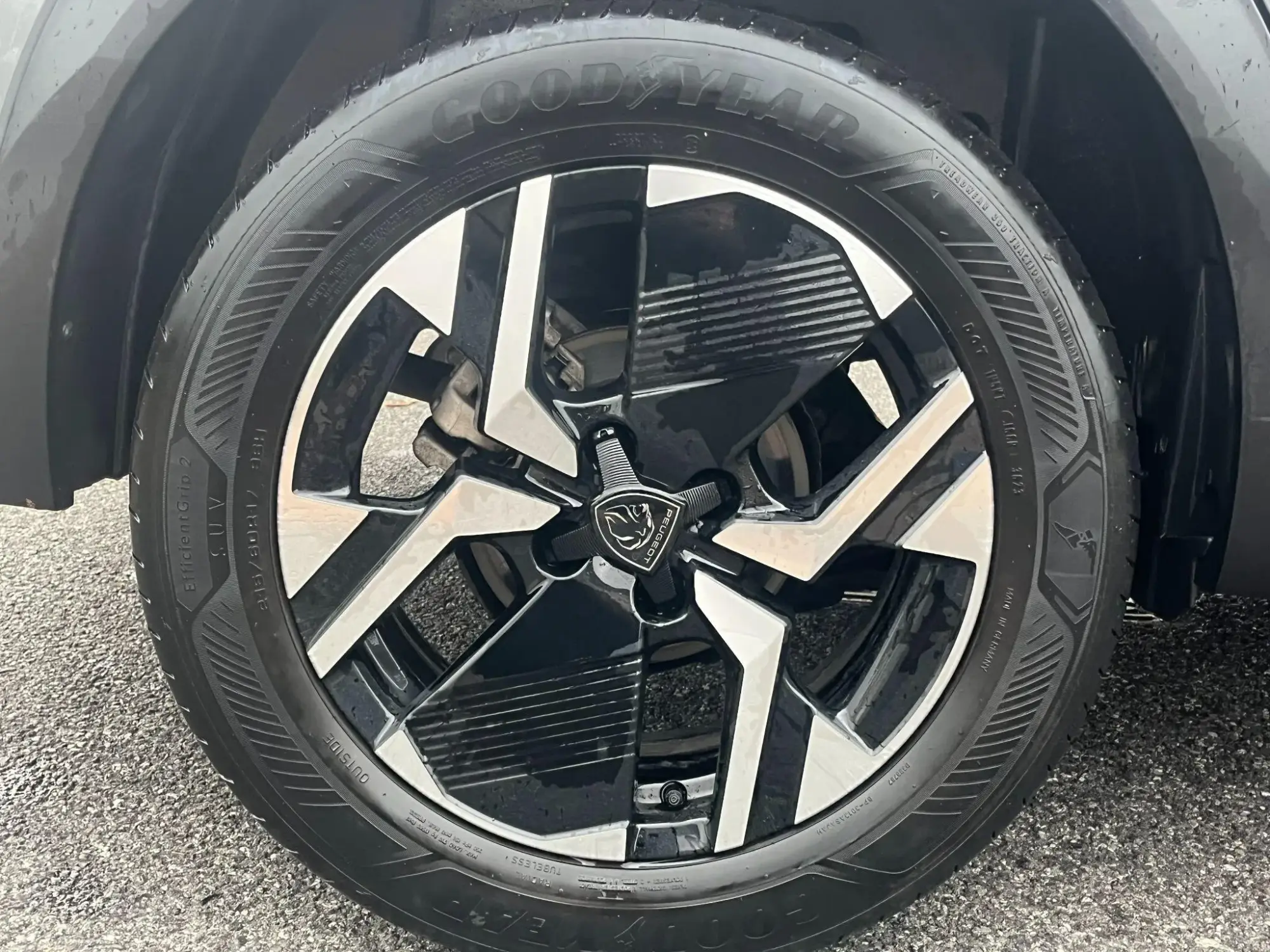 Peugeot 2008 Image 12