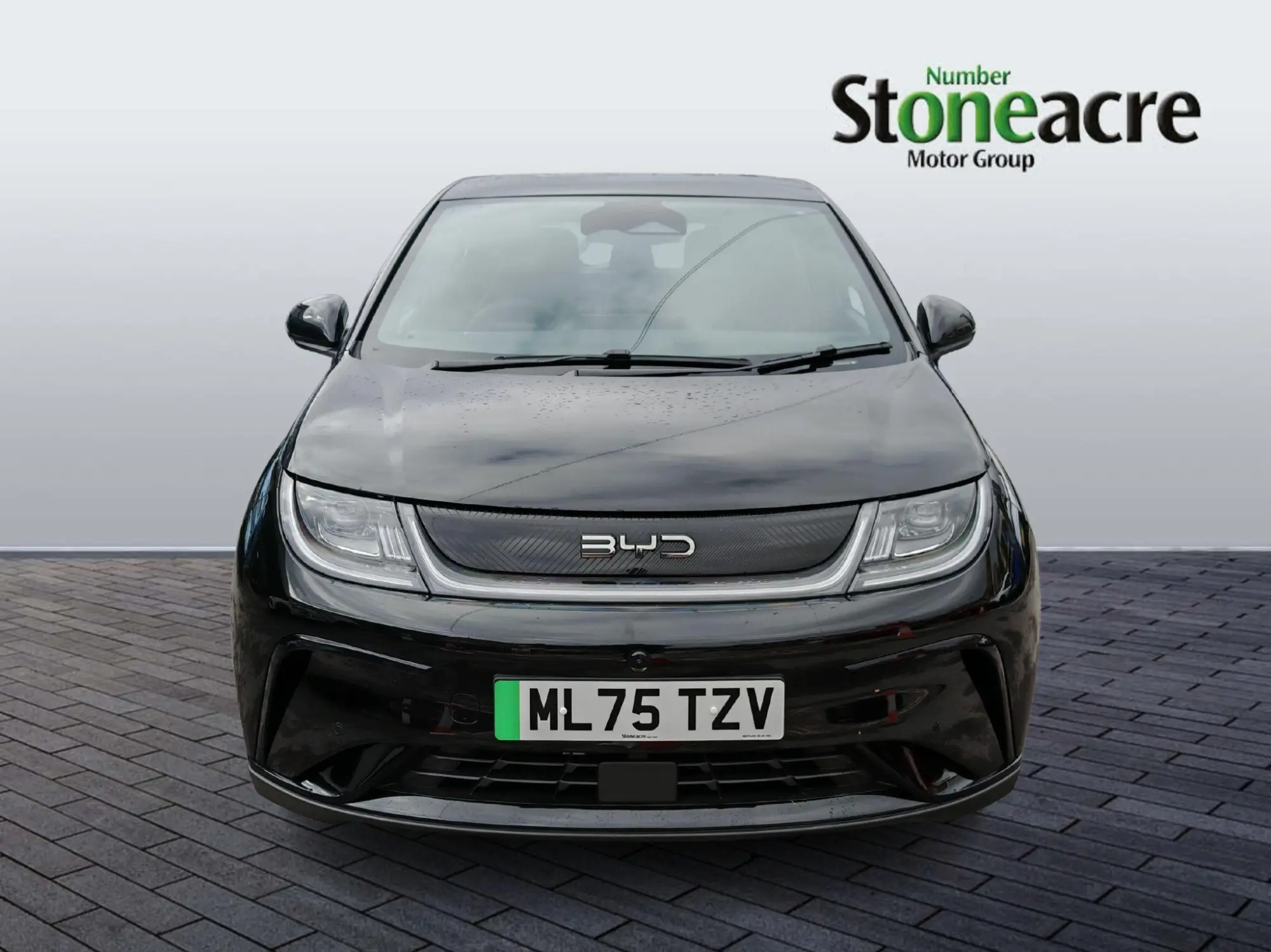 BYD DOLPHIN 60.48kWh Comfort Auto 5dr ML75TZV Image 2