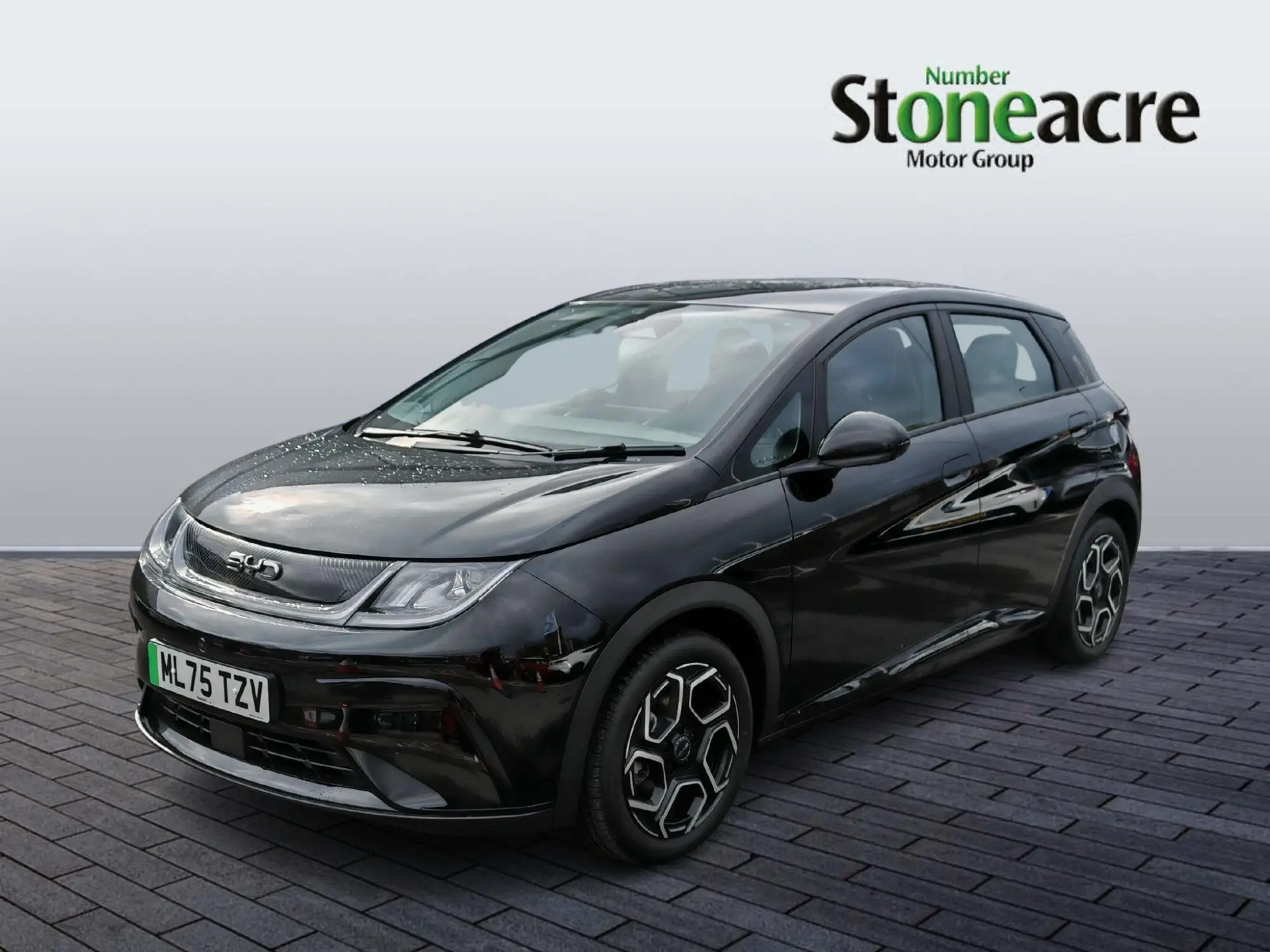 BYD DOLPHIN 60.48kWh Comfort Auto 5dr ML75TZV Image 3