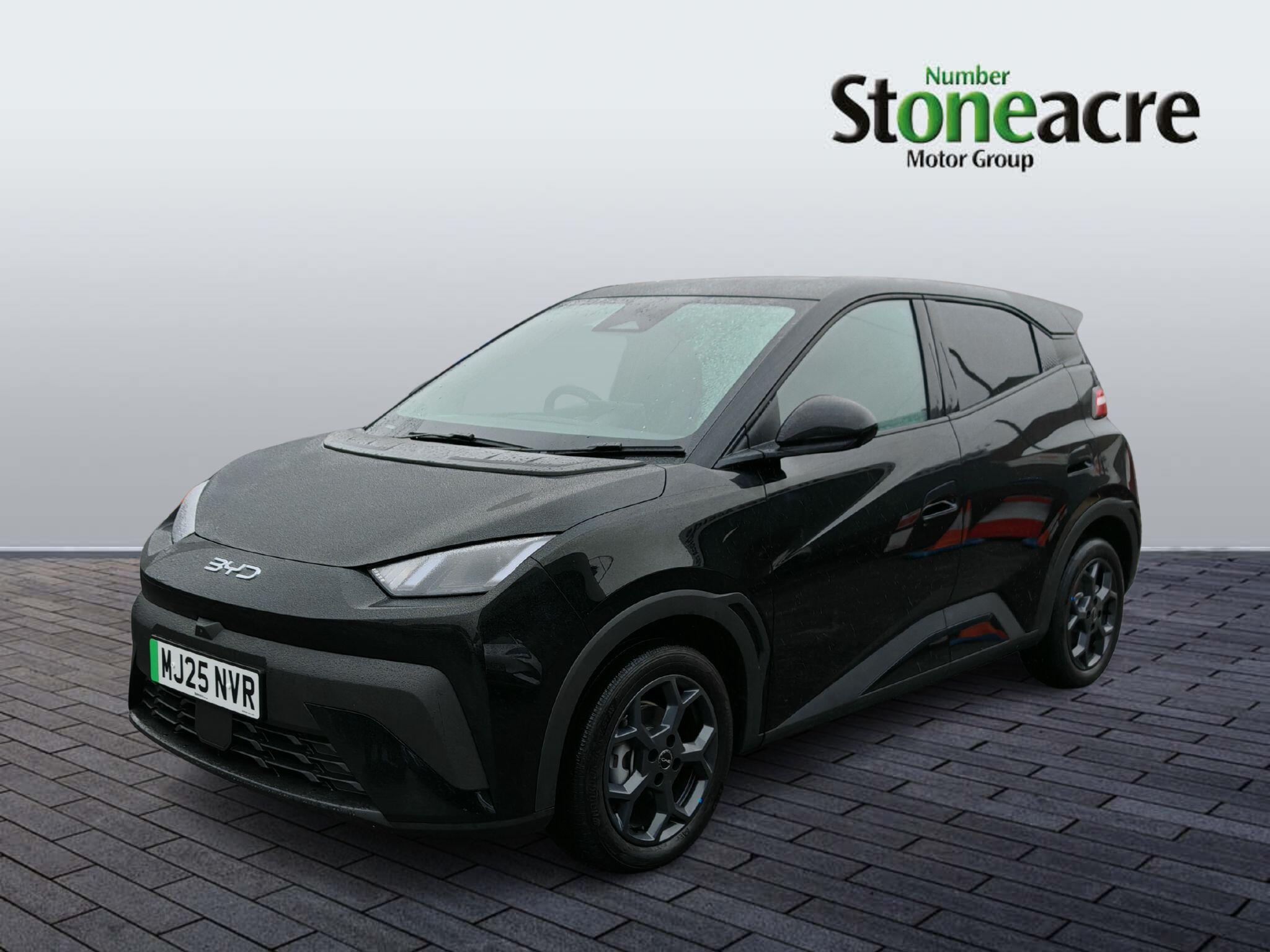 BYD Dolphin Surf Image 3