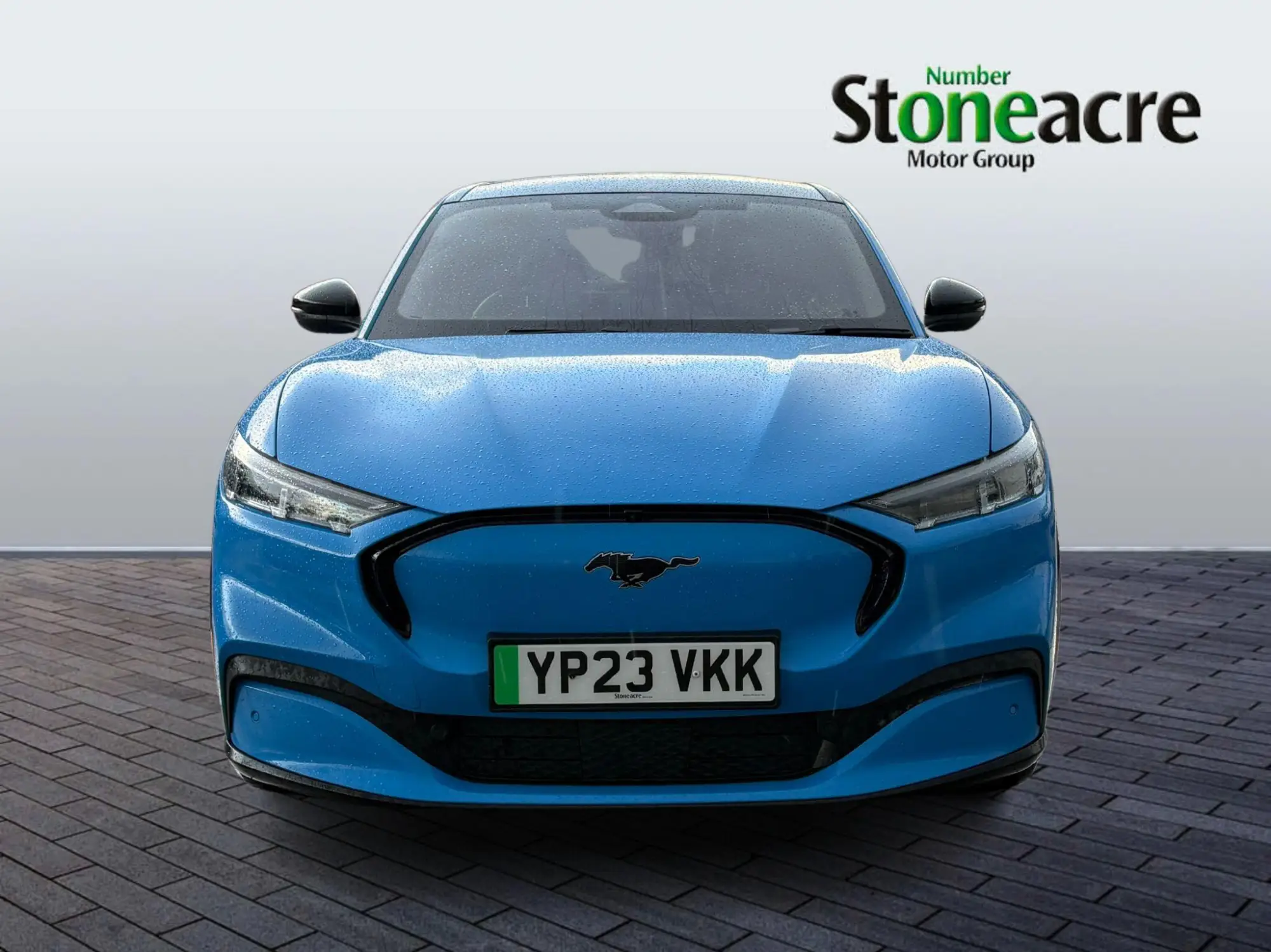 Ford Mustang Mach-E Image 3