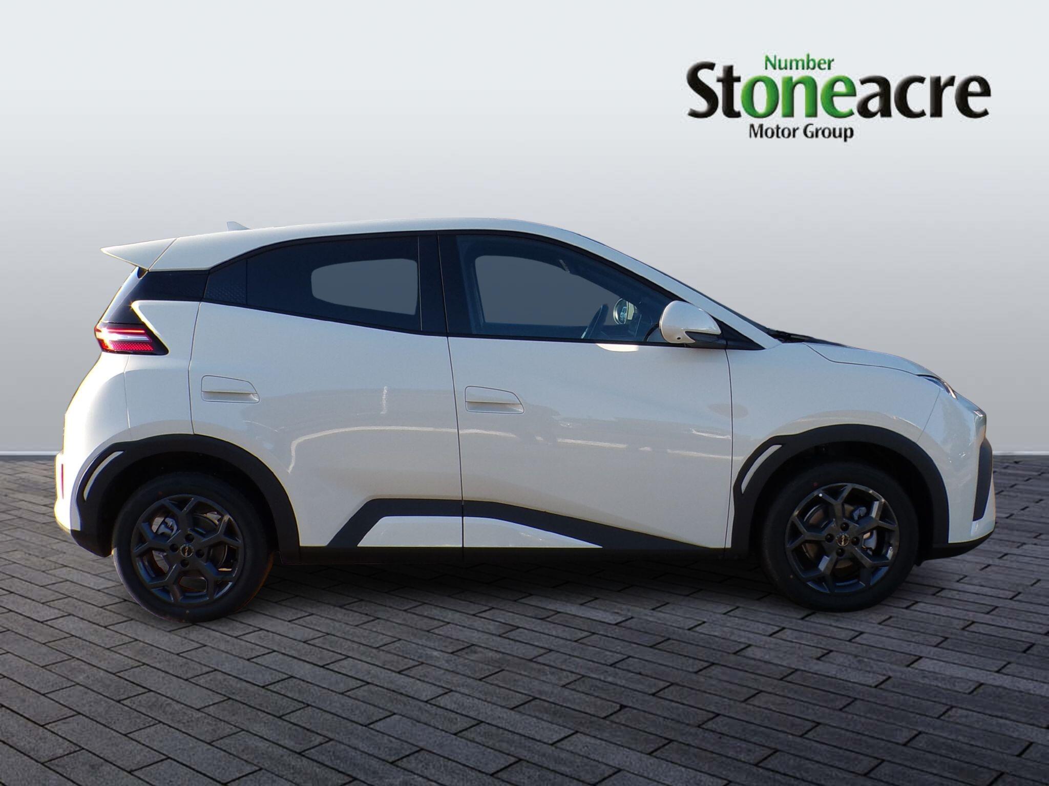 BYD Dolphin Surf Image 2