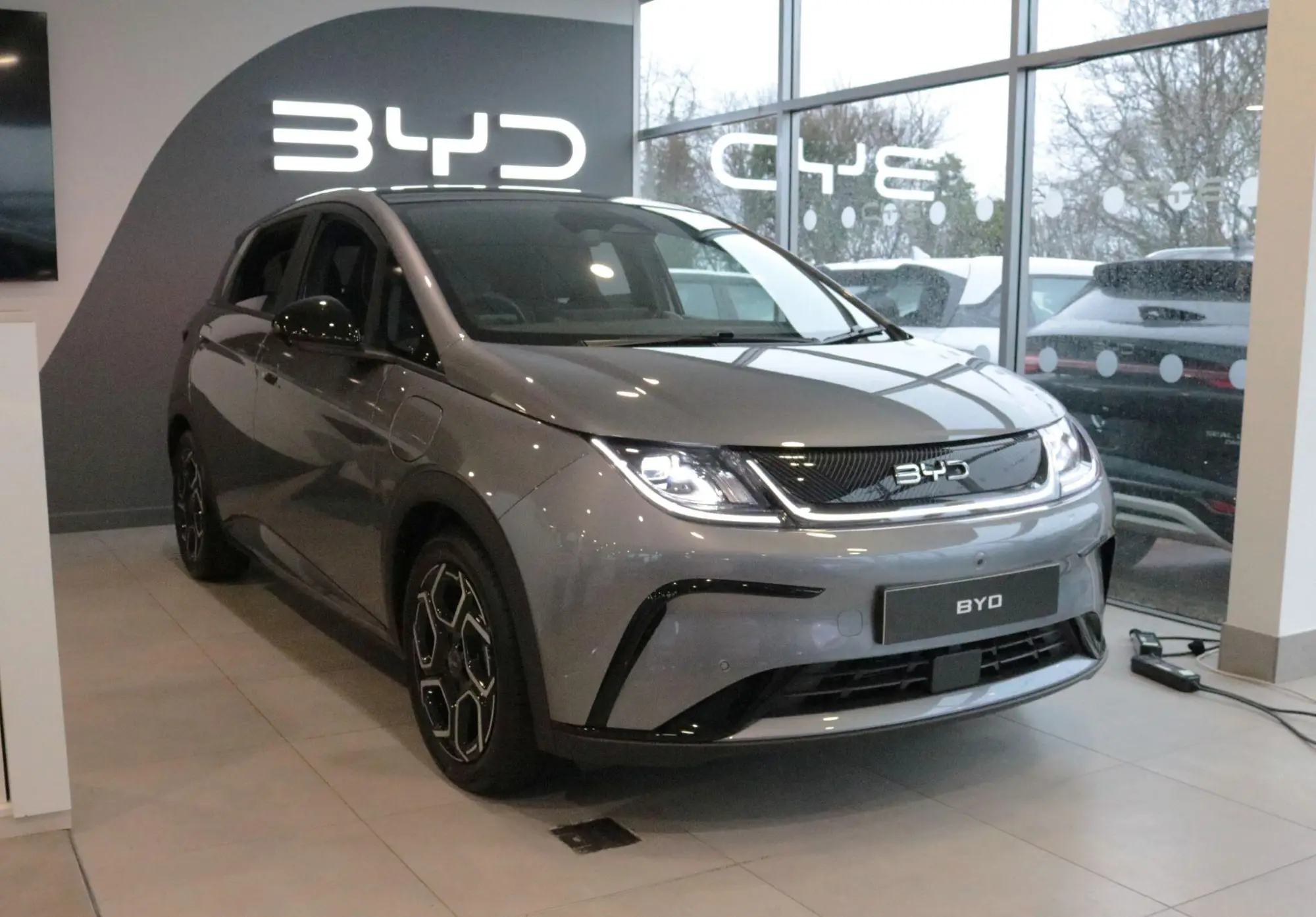 BYD DOLPHIN Image 1