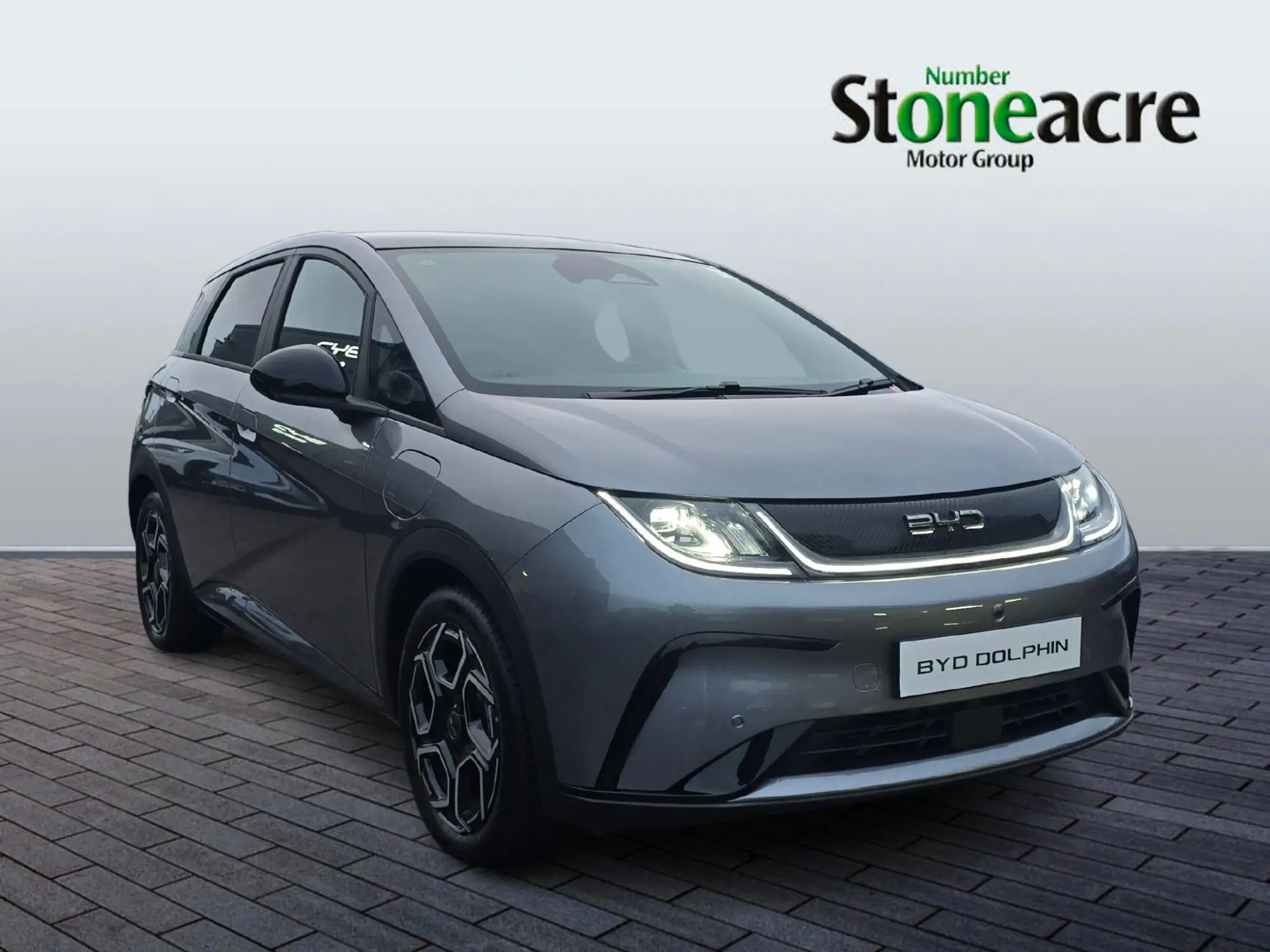 BYD DOLPHIN Image 1