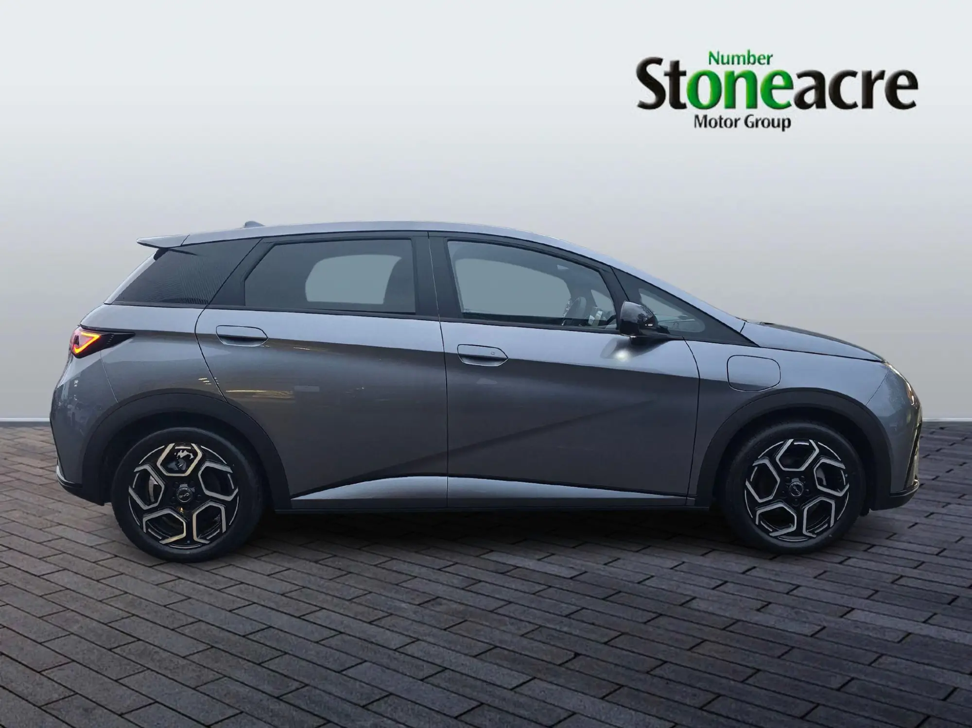 BYD DOLPHIN Image 2