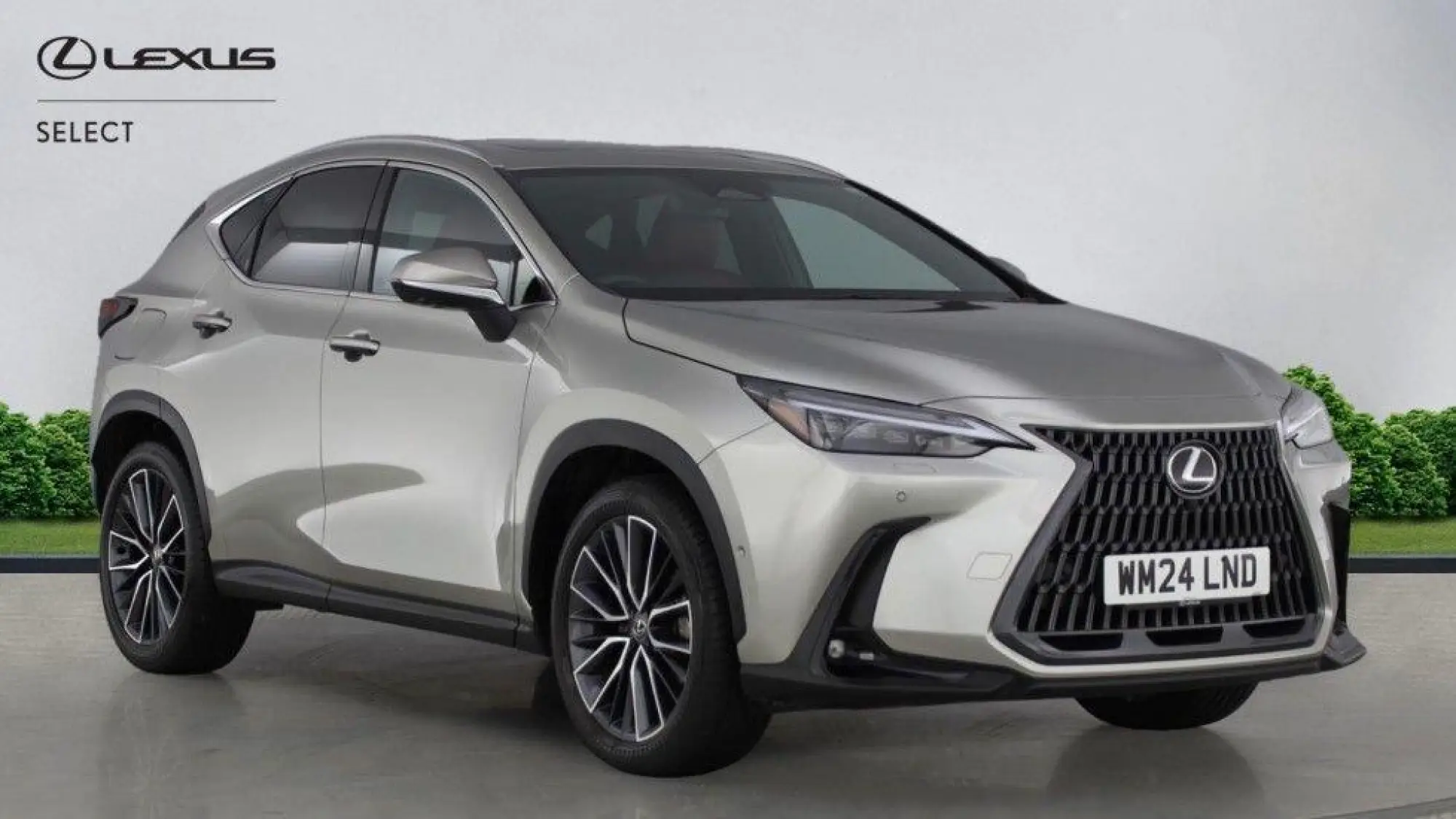 Lexus NX Self-Charging Hybrid 2.5 450h+ 18.1kWh Takumi E-CVT 4WD Euro 6 (s/s) 5dr WM24LND Image 1