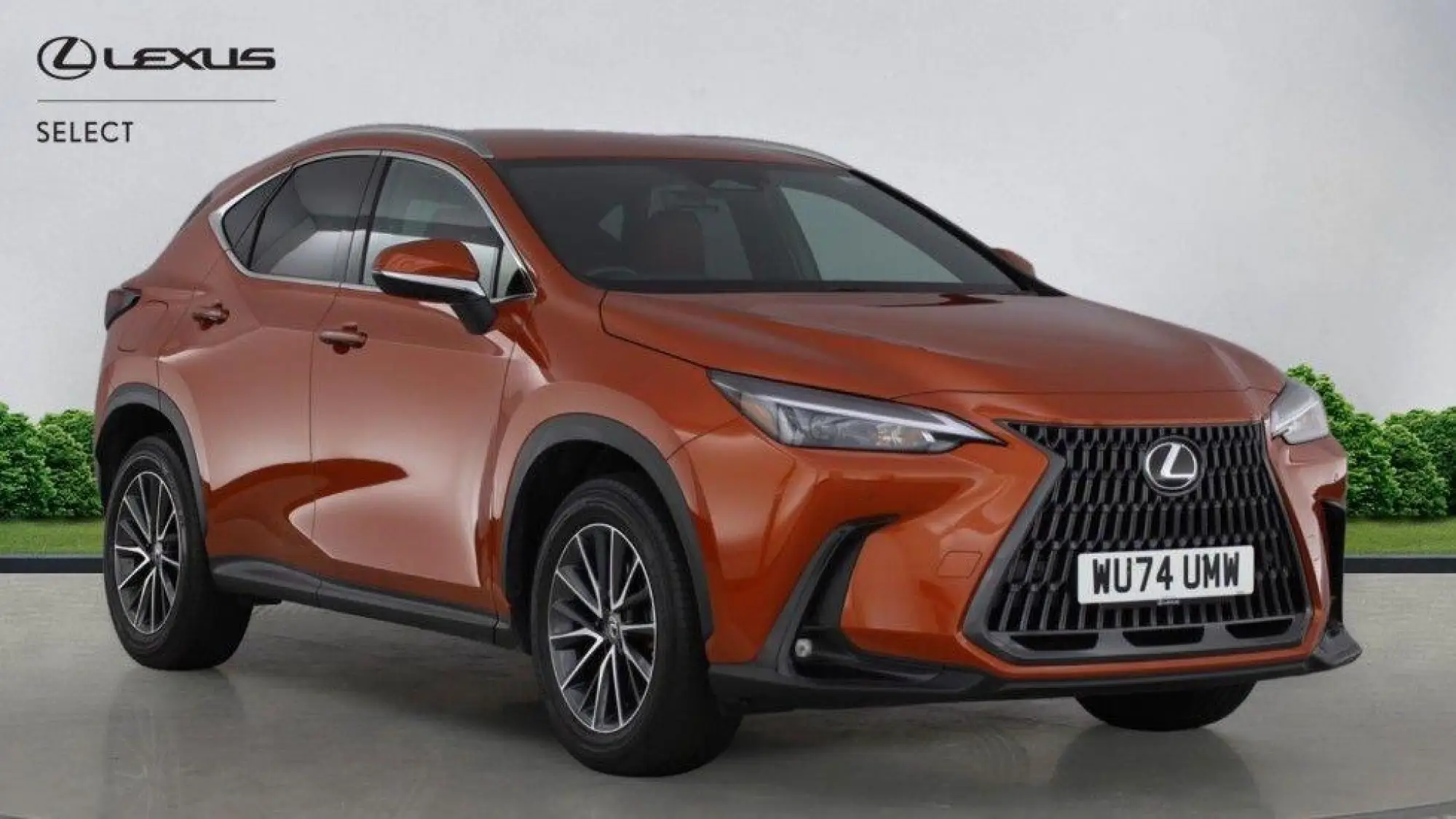 Lexus NX Plug-In Hybrid 2.5 450h+ 18.1kWh Premium E-CVT 4WD Euro 6 (s/s) 5dr WU74UMW Image 1