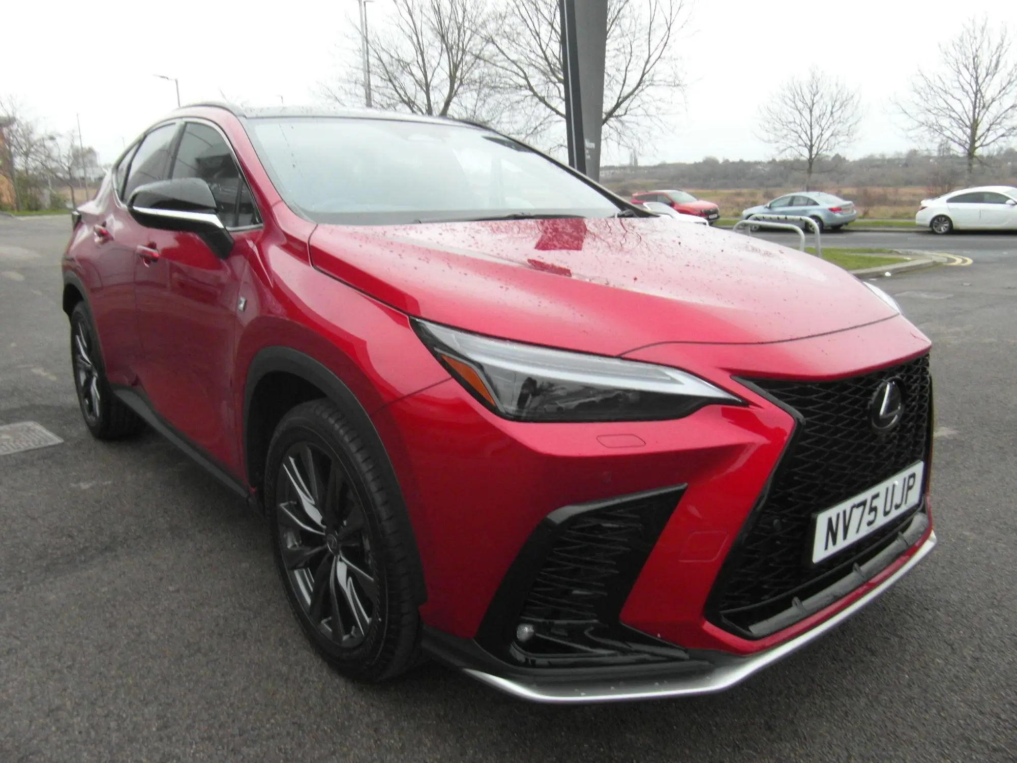 Lexus NX 2.5 350h F Sport E-CVT 4WD Euro 6 (s/s) 5dr NV75UJP Image 1